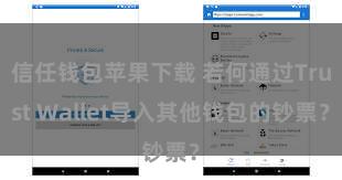 信任钱包苹果下载 若何通过Trust Wallet导入其他钱包的钞票？