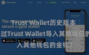 Trust Wallet历史版本 若何通过Trust Wallet导入其他钱包的金钱？