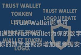 Trust Wallet哪里可以下载 若何通过Trust Wallet为你的数字金钱添增加重考据安全措施？