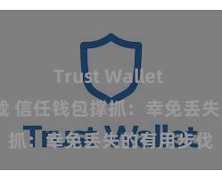 Trust Wallet MacOS下载 信任钱包撑抓：幸免丢失的有用步伐